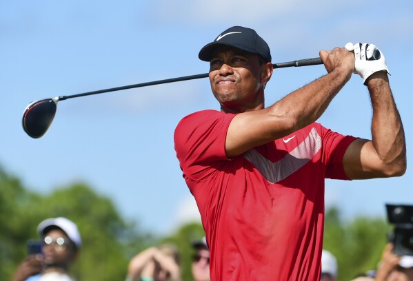 Tiger woods shirts 2019 hot sale